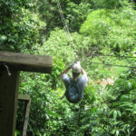 Ziplining In Utuado